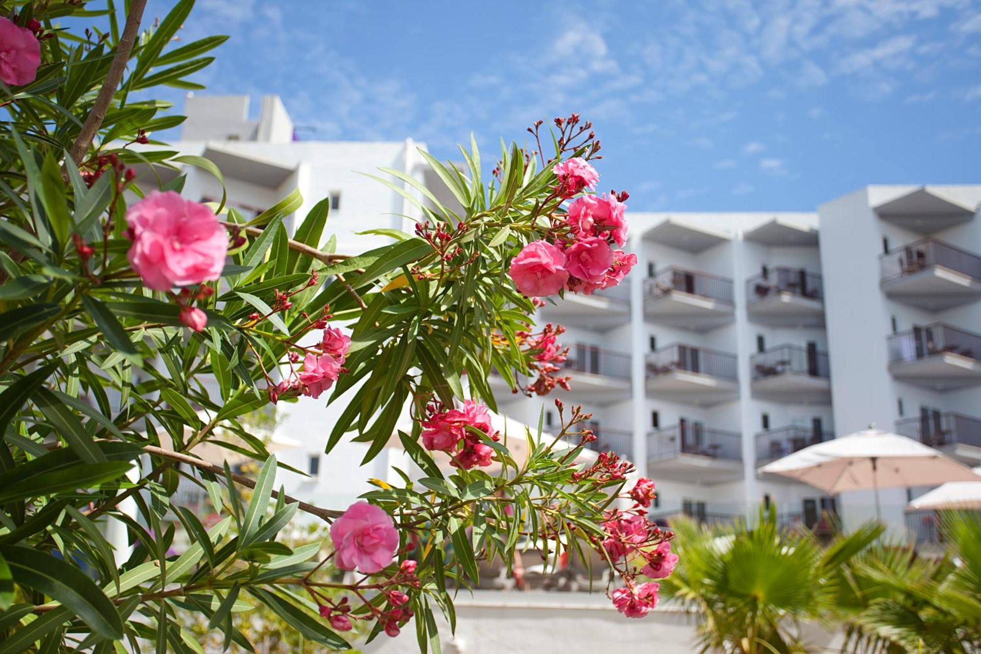FERGUS Bermudas Palmanova Exterior foto